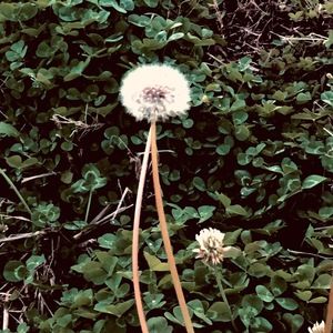 Meet your Posher, Berkley